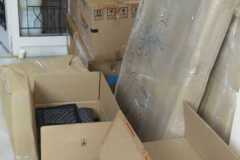 fgf